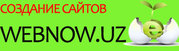 Создаем Вэб-сайты любой сложности. Быстро. Дешево. С гарантией! 