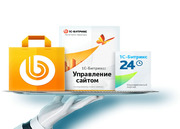 Битрикс 24 готовые решения цена в Омске